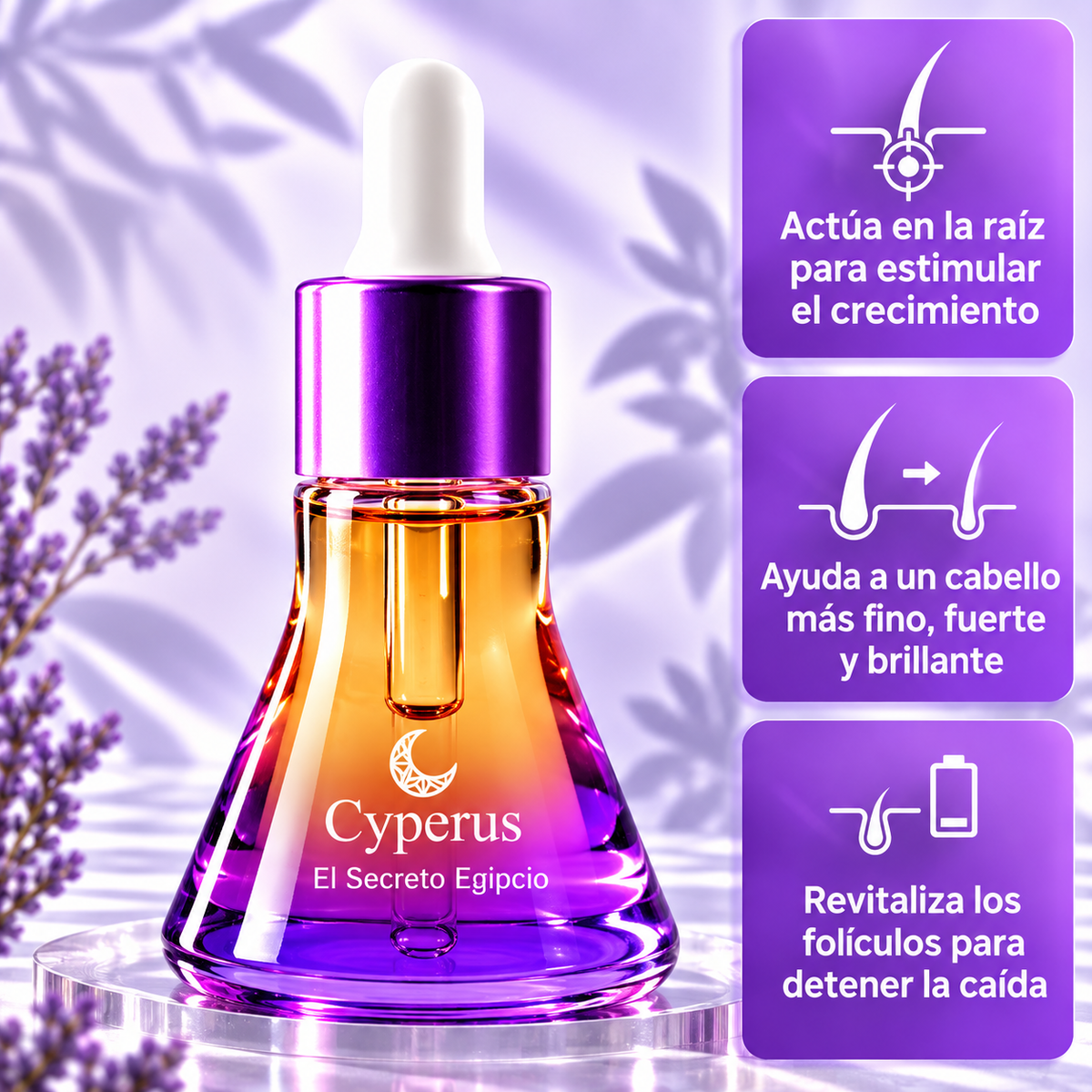 Sérum  Cyperus rotundus